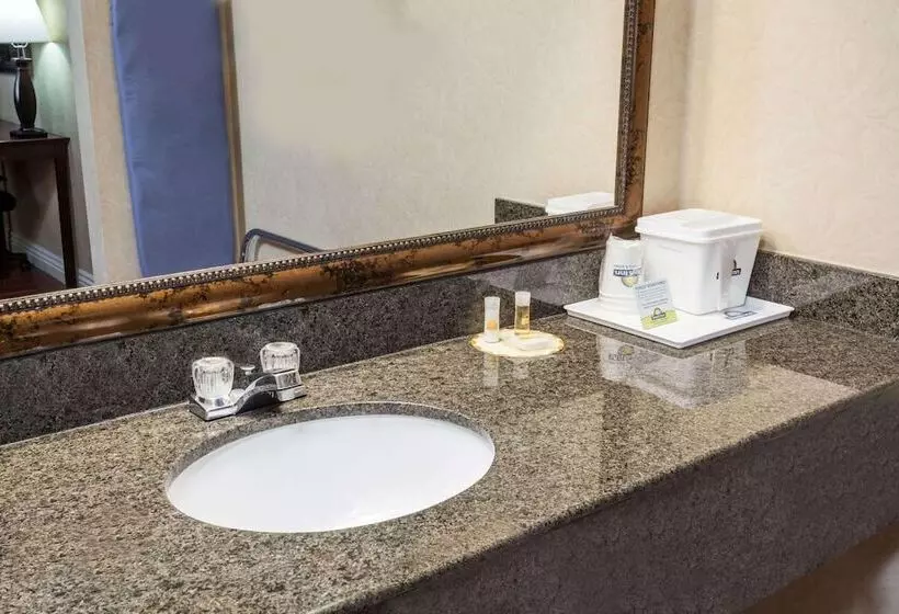 اتاق لوکس, Hospitality Inn