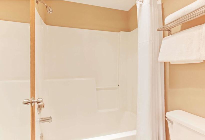 חדר סטנדרט שתי מיטות זוגיות, Niwas Inn