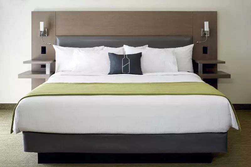 Cameră Standard Pat King Size, Rive Gauche