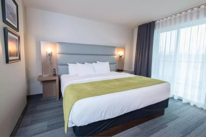Cameră Standard Pat King Size, Rive Gauche