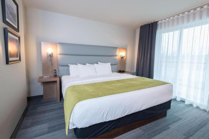 스탠다드 룸 킹사이즈 침대, Rive Gauche