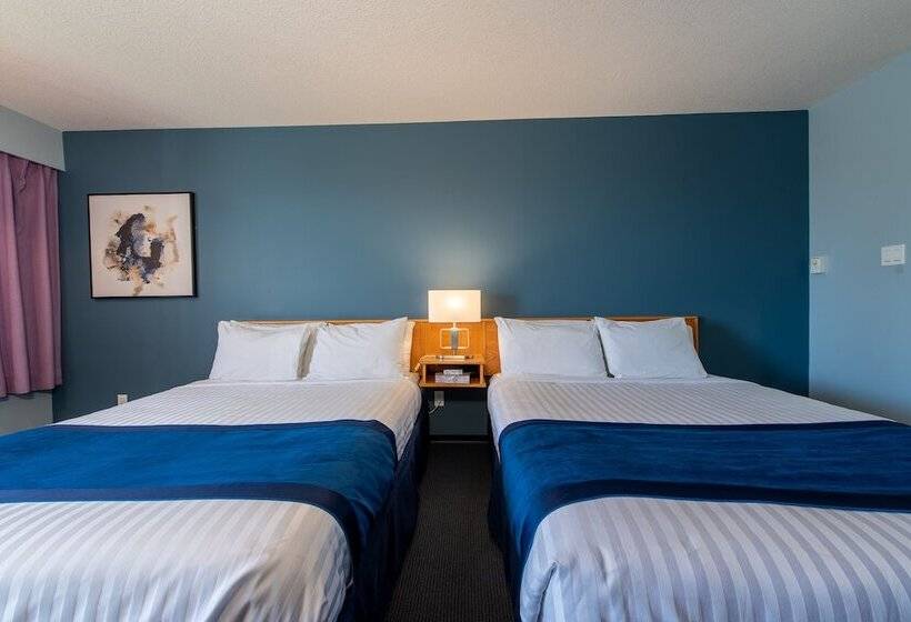 带2个双人床的标准工作室, Ocean Crest Motel