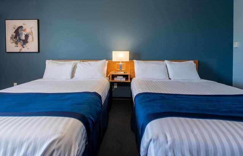 带2个双人床的标准工作室, Ocean Crest Motel