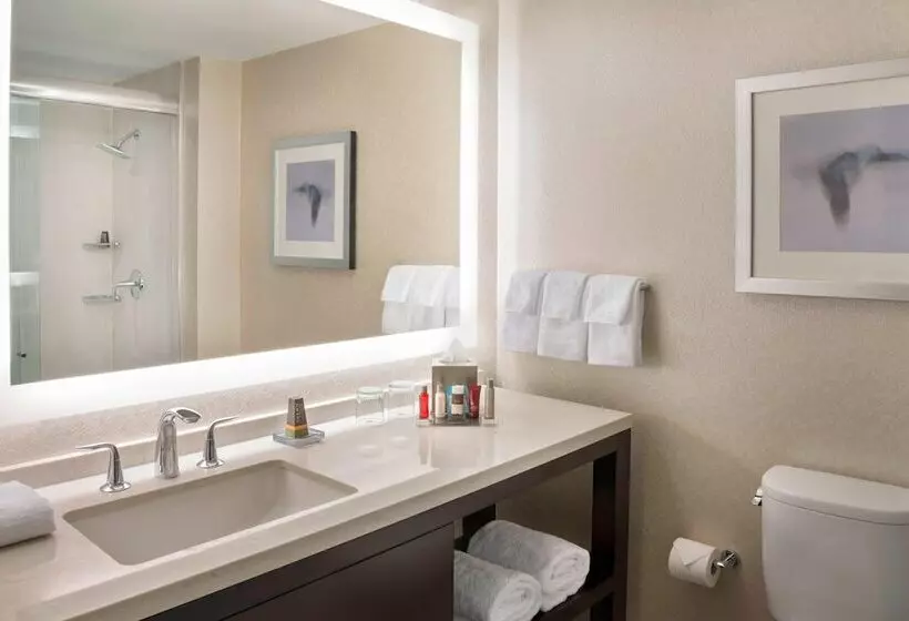 2ダブルベッドのスタンダードルーム, Marriott Downtown At Cf Toronto Eaton Centre