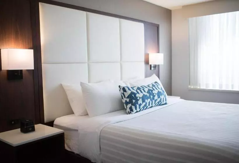 سوئیت با تخت بزرگ, The Park Hotel London