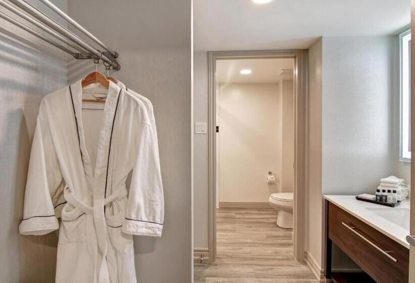 جناح سرير كينج, The Park Hotel London