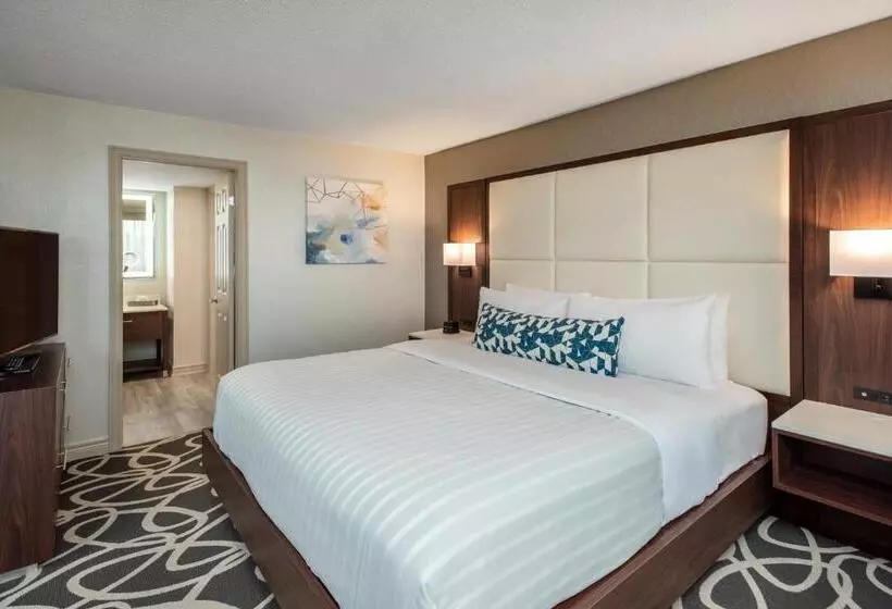 سوئیت با تخت بزرگ, The Park Hotel London