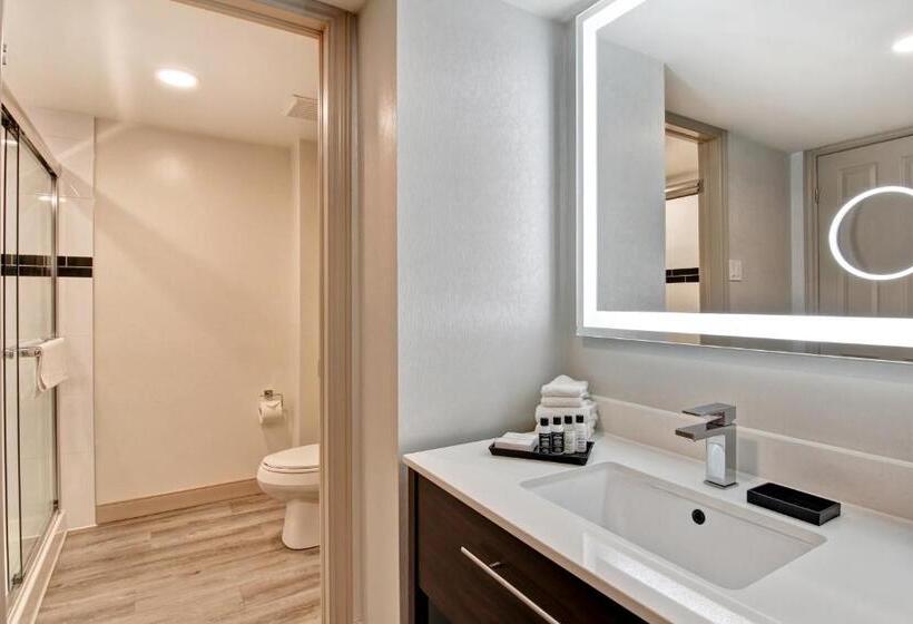 جناح, The Park Hotel London