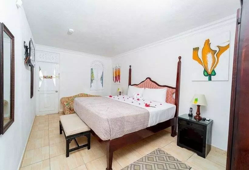 سوئیت جونیور با چشم‌انداز, Franklyn D Resort & Spa All Inclusive