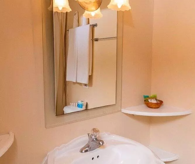 سوئیت جونیور با چشم‌انداز, Franklyn D Resort & Spa All Inclusive
