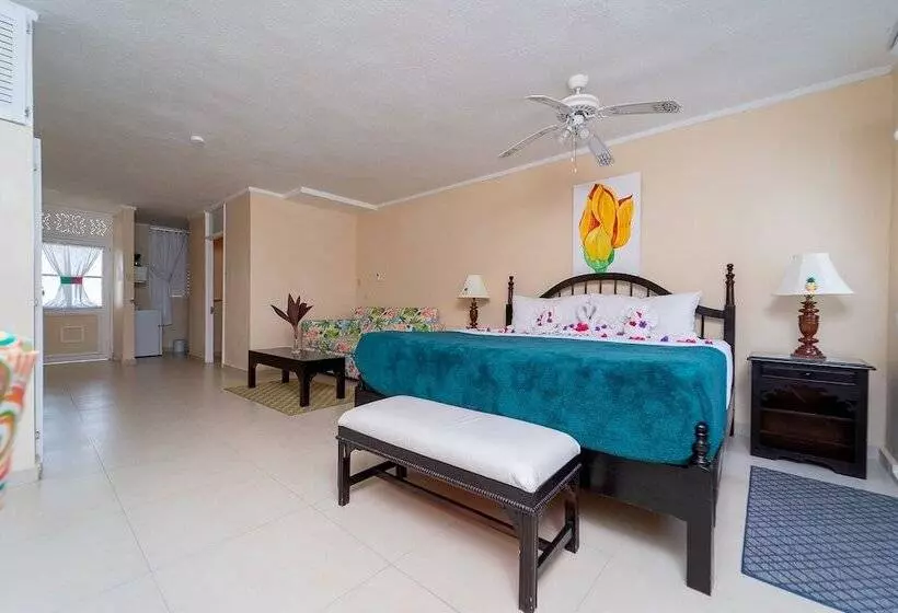 سوئیت جونیور با چشم‌انداز, Franklyn D Resort & Spa All Inclusive