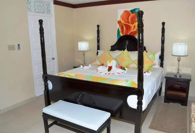 سوئیت جونیور با چشم‌انداز, Franklyn D Resort & Spa All Inclusive