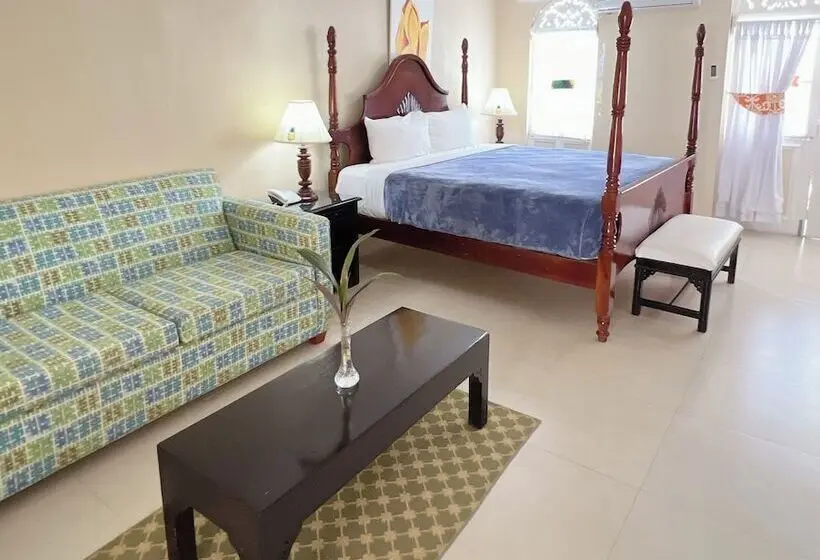 سوئیت جونیور با چشم‌انداز, Franklyn D Resort & Spa All Inclusive