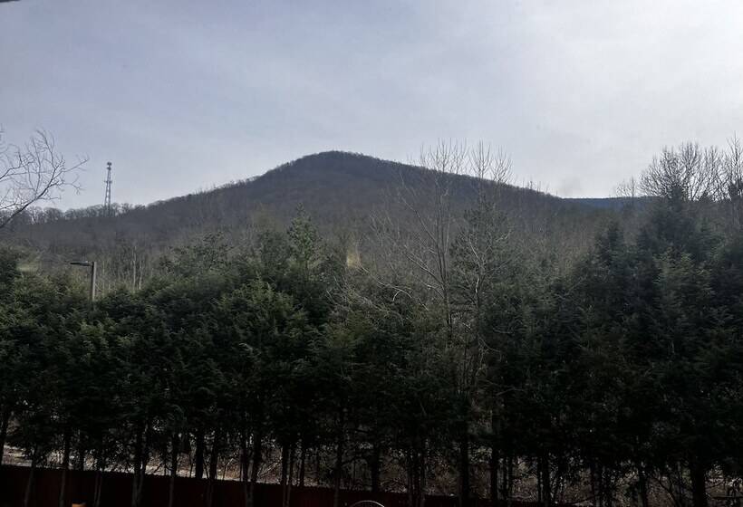 Номер Стандарт, Comfort Inn Asheville East Blue Ridge Pkwy Access