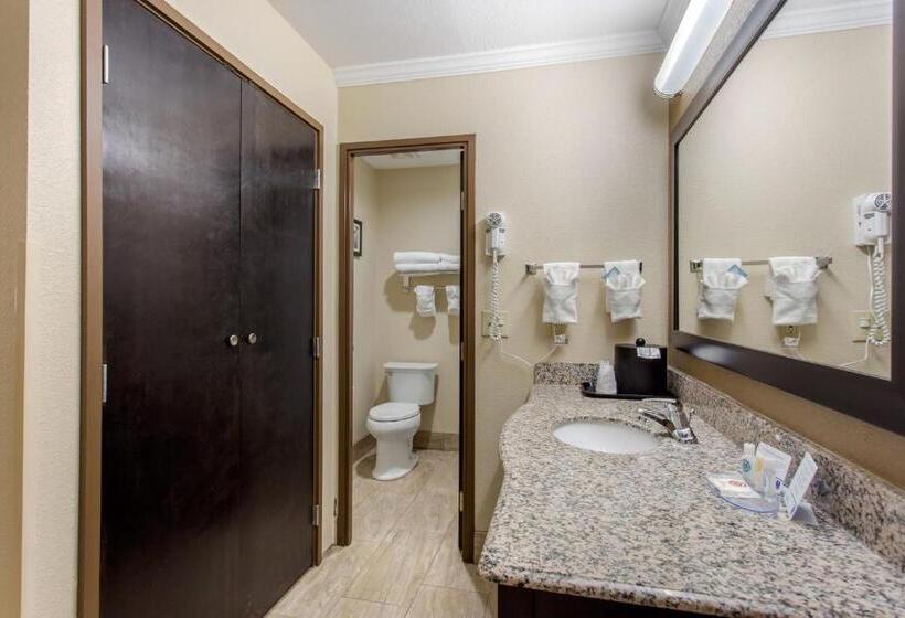 Стандартный Номер Кровать Кинг, Comfort Inn Asheville East Blue Ridge Pkwy Access