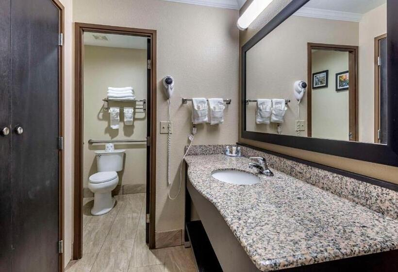 Стандартный Номер Кровать Кинг, Comfort Inn Asheville East Blue Ridge Pkwy Access