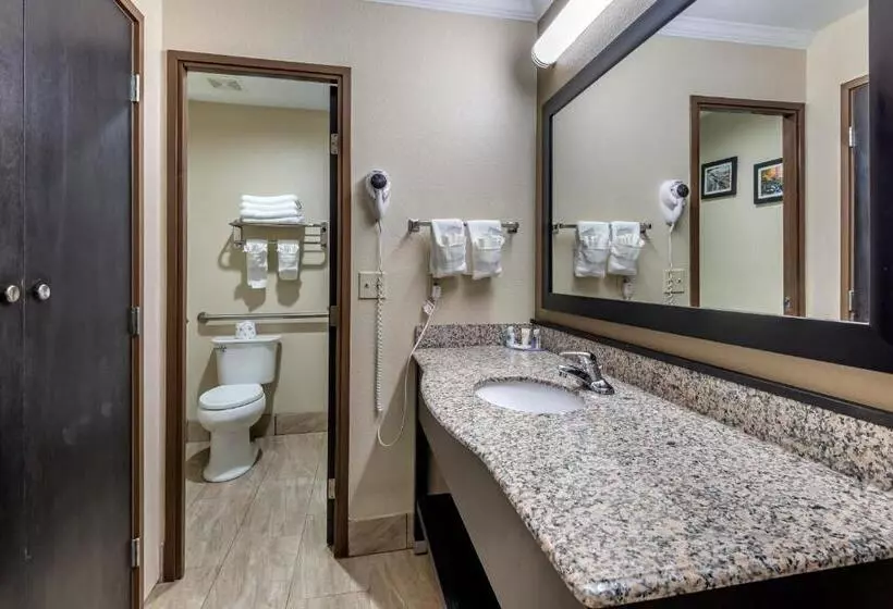 2ダブルベッドのスタンダードルーム, Comfort Inn Asheville East Blue Ridge Pkwy Access