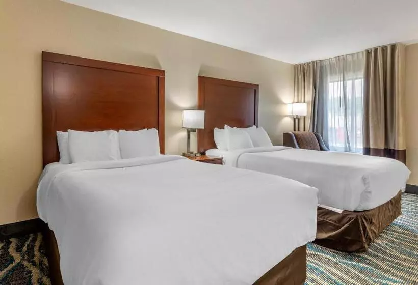 2ダブルベッドのスタンダードルーム, Comfort Inn Asheville East Blue Ridge Pkwy Access
