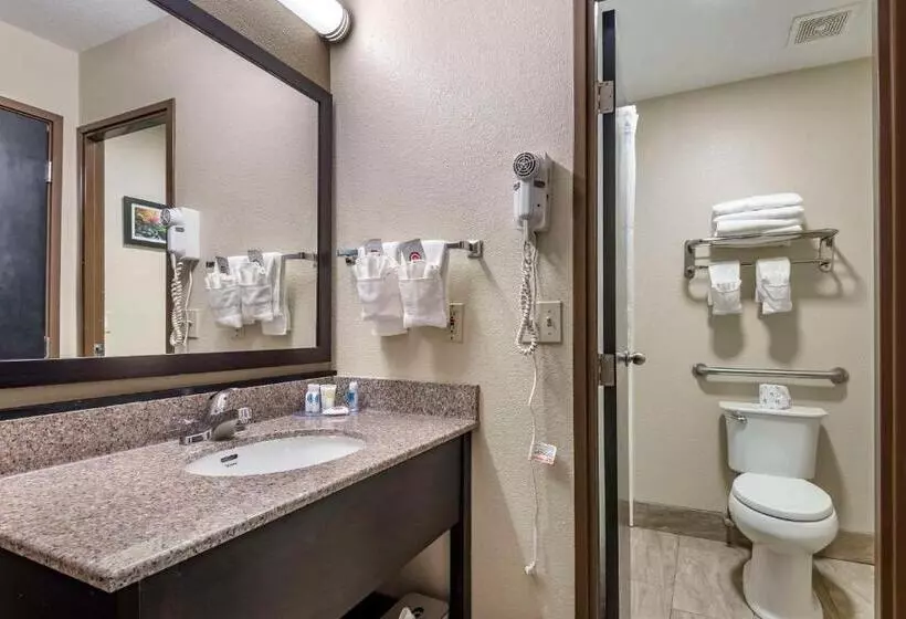 2ダブルベッドのスタンダードルーム, Comfort Inn Asheville East Blue Ridge Pkwy Access