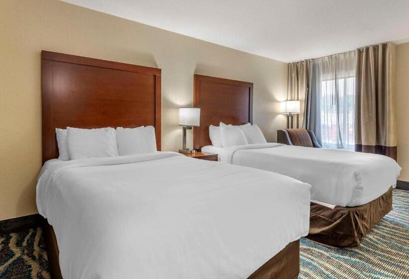 Номер Стандарт 2 Двуспальные Кровати, Comfort Inn Asheville East Blue Ridge Pkwy Access