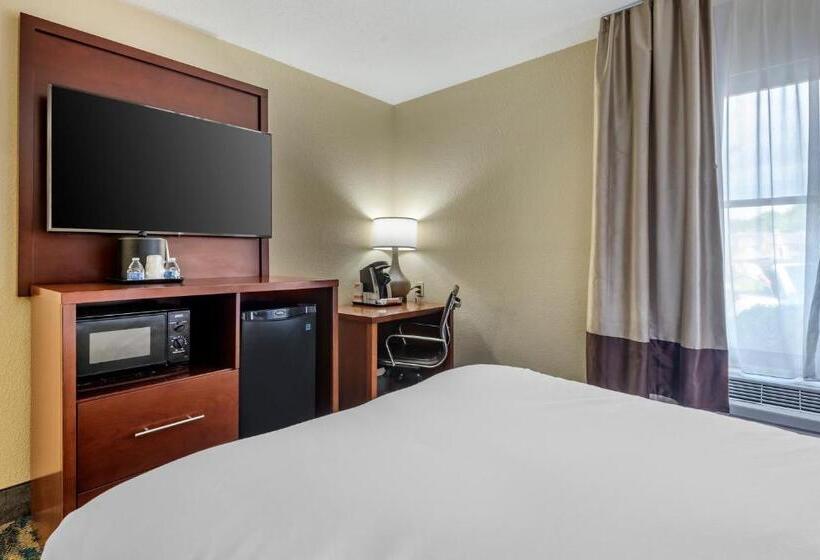 Номер Стандарт, Comfort Inn Asheville East Blue Ridge Pkwy Access