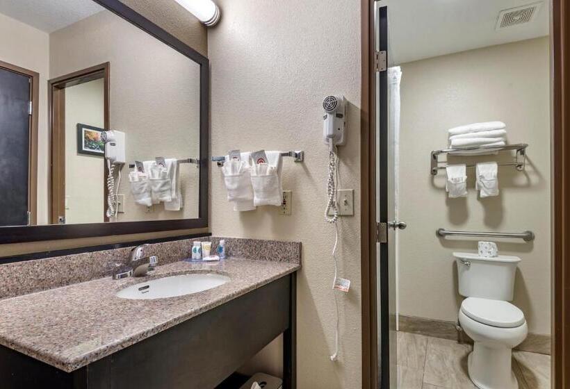 Номер Стандарт, Comfort Inn Asheville East Blue Ridge Pkwy Access