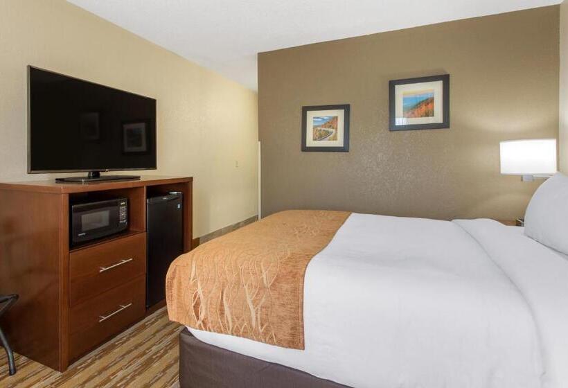 Номер Стандарт Адаптированный для Инвалидов, Comfort Inn Asheville East Blue Ridge Pkwy Access