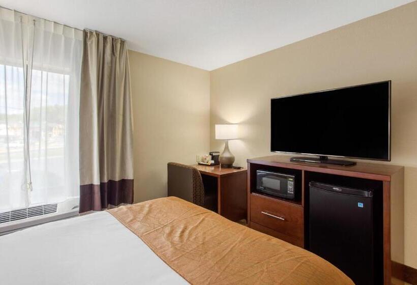 Номер Стандарт Адаптированный для Инвалидов, Comfort Inn Asheville East Blue Ridge Pkwy Access