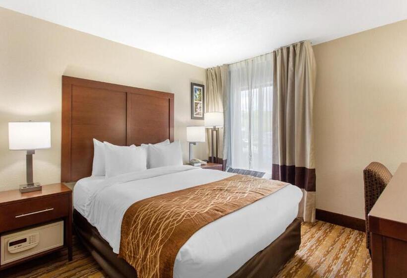 Номер Стандарт Адаптированный для Инвалидов, Comfort Inn Asheville East Blue Ridge Pkwy Access