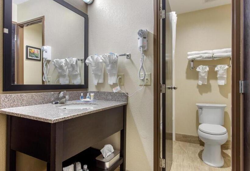 Номер Стандарт Адаптированный для Инвалидов, Comfort Inn Asheville East Blue Ridge Pkwy Access