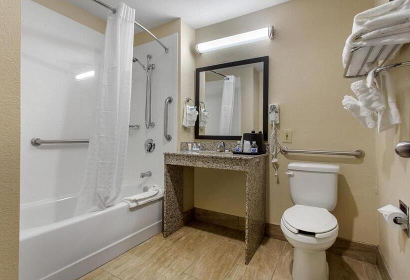 Номер Стандарт Адаптированный для Инвалидов, Comfort Inn Asheville East Blue Ridge Pkwy Access