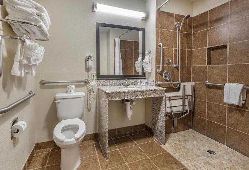 Номер Стандарт Адаптированный для Инвалидов, Comfort Inn Asheville East Blue Ridge Pkwy Access