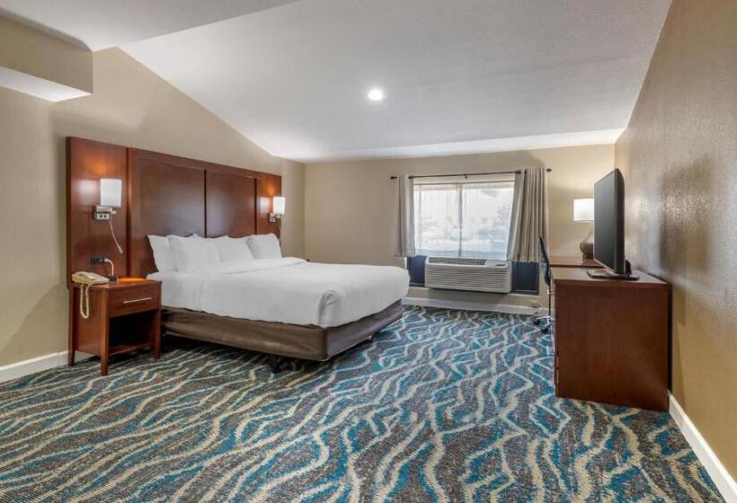 Люкс Кровать Кинг, Comfort Inn Asheville East Blue Ridge Pkwy Access