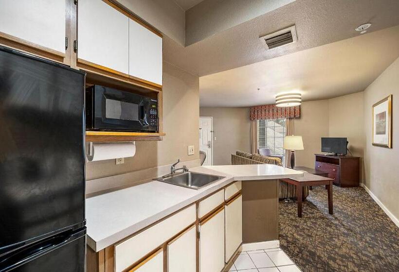 套房, The 505 Collection