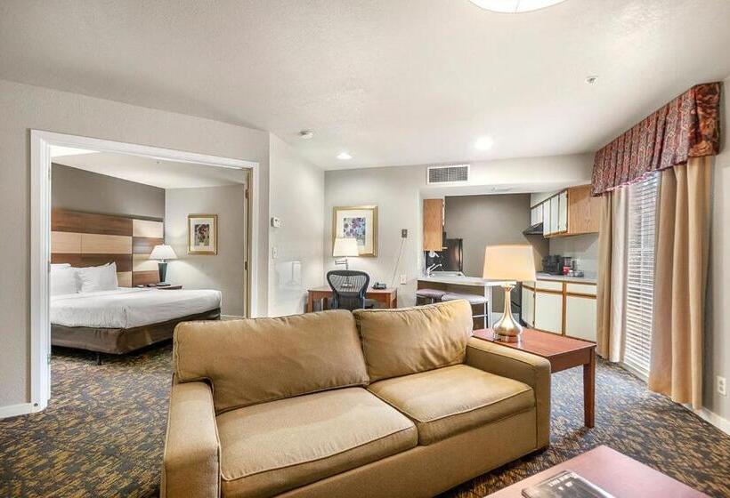 套房, The 505 Collection