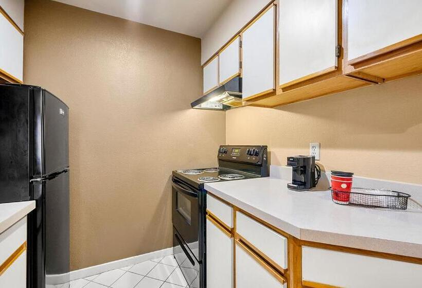 套房, The 505 Collection