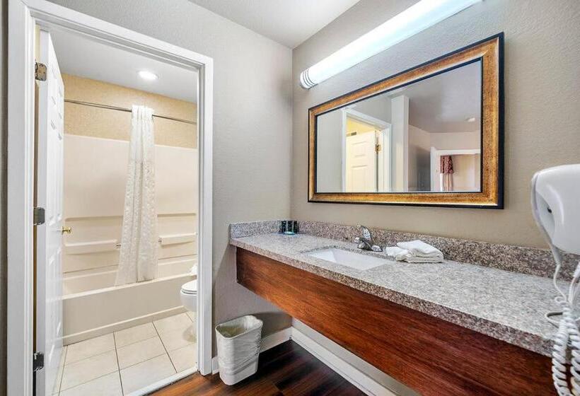 套房, The 505 Collection