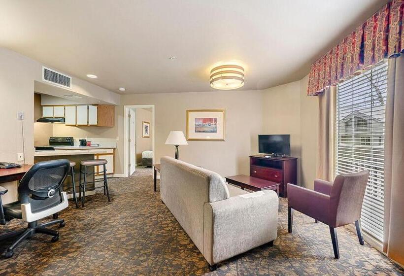 标准工作室, The 505 Collection