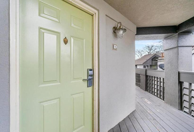 标准工作室, The 505 Collection