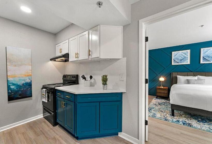 豪华套房, The 505 Collection