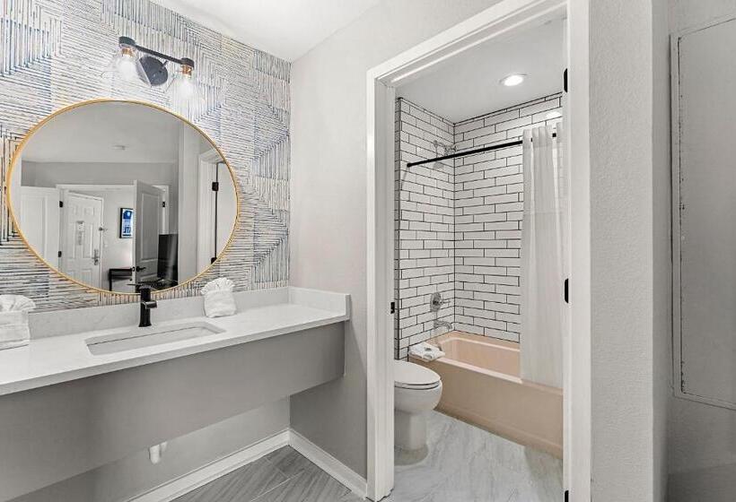 豪华工作室, The 505 Collection