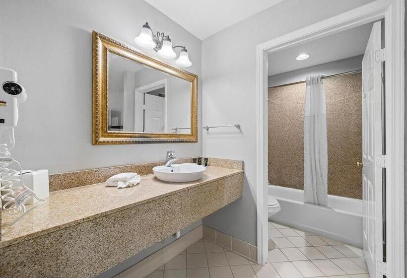 套房, The 505 Collection