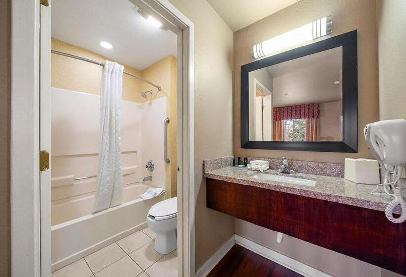 标准工作室, The 505 Collection