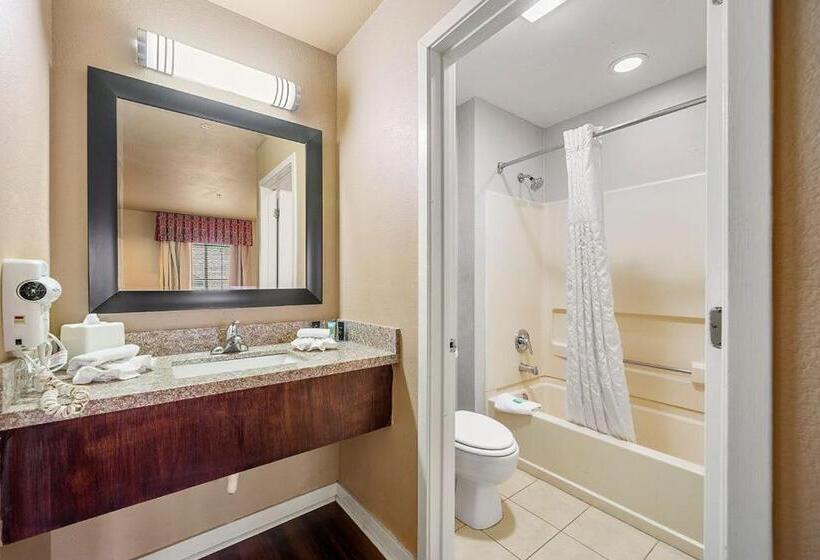 标准工作室, The 505 Collection