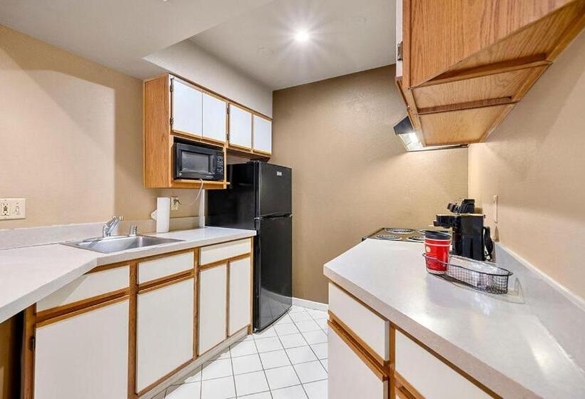 标准工作室, The 505 Collection