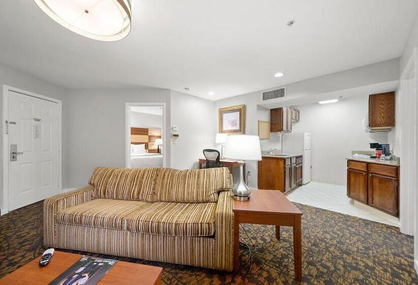 标准工作室, The 505 Collection