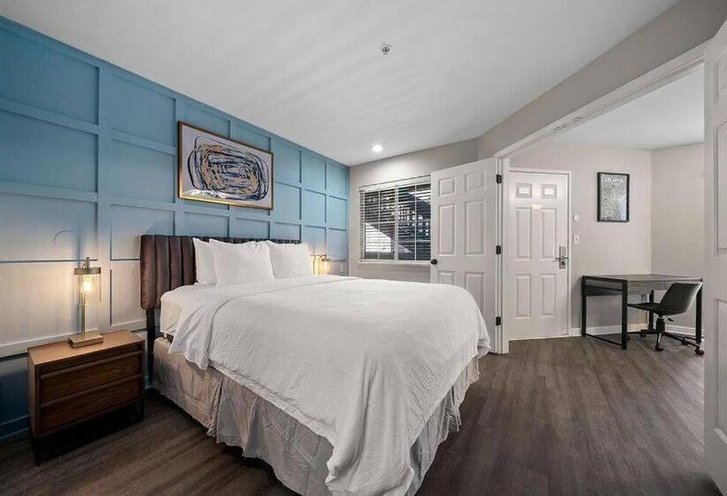 豪华套房, The 505 Collection