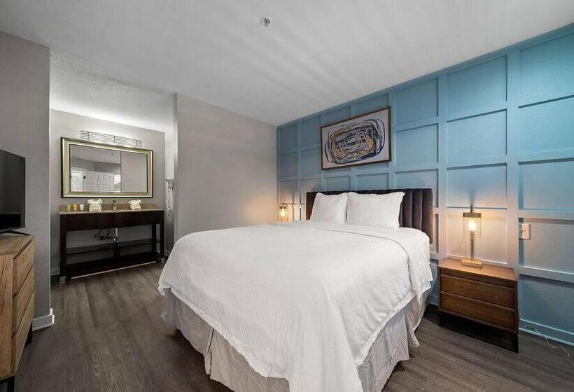 豪华工作室, The 505 Collection