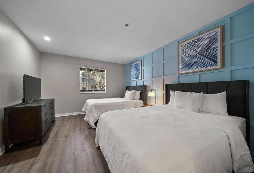 豪华套房, The 505 Collection