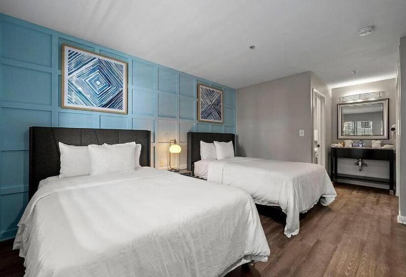 豪华套房, The 505 Collection